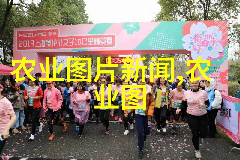 2023年中蜂养殖视频实录探秘甜蜜的蜂群生活