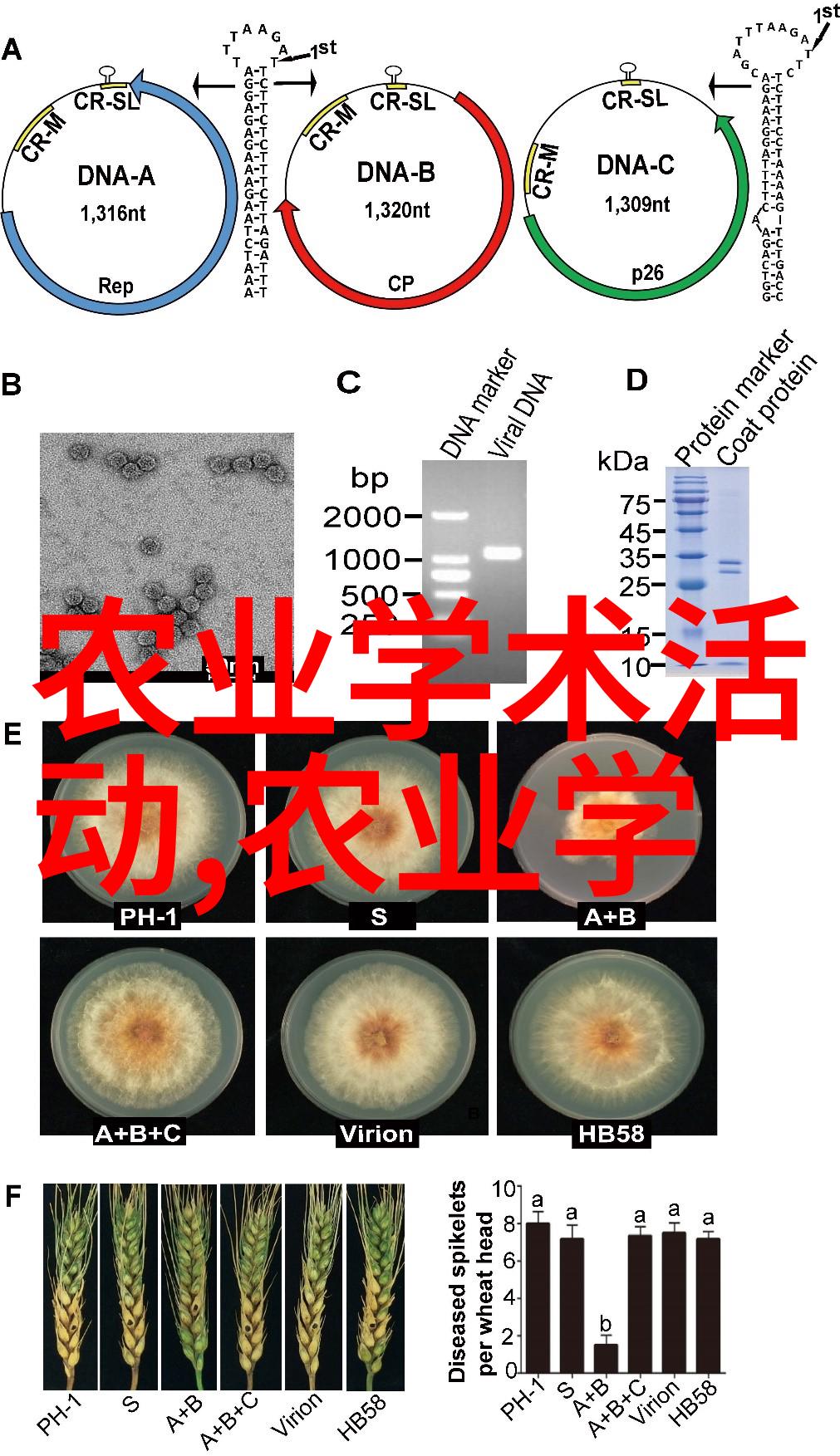 能否参加花卉种植培训基地的实地考察活动