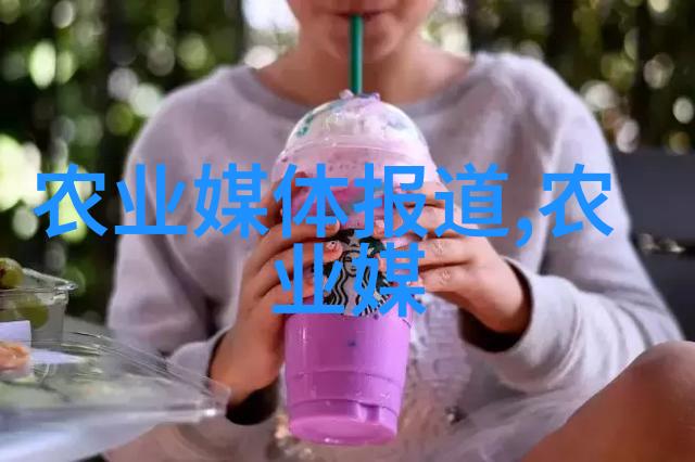 家用玉米棒输送机链条甜蜜旋转的黄金线路