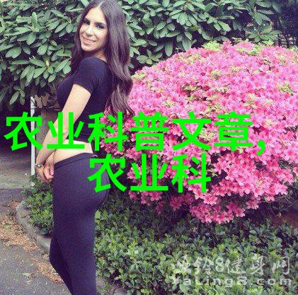 花园美学如何规划一个和谐的花卉种植方案