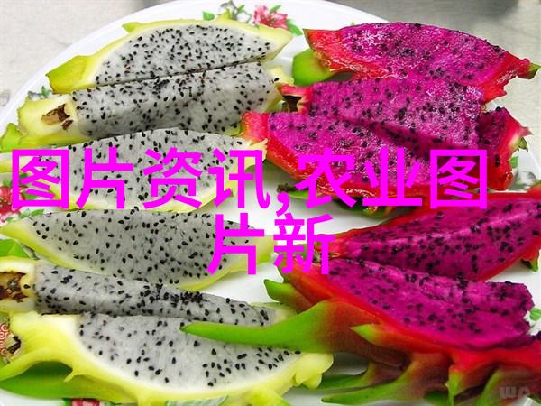 从百宝箱到药店货架哪些大自然赋予的礼物价值连城