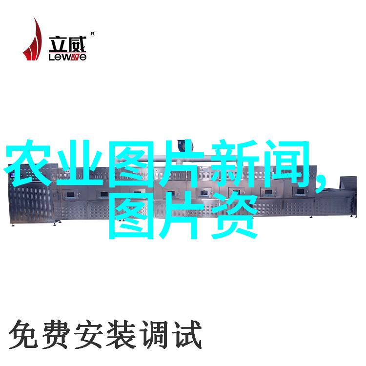 小学生的蜜蜂梦如何安全养护这些重要的昆虫朋友
