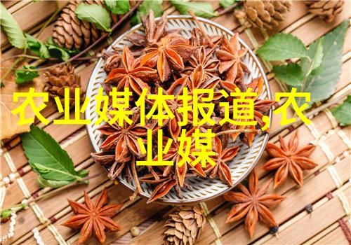 从蛹到蝶蟾蜍养殖的技艺与乐趣