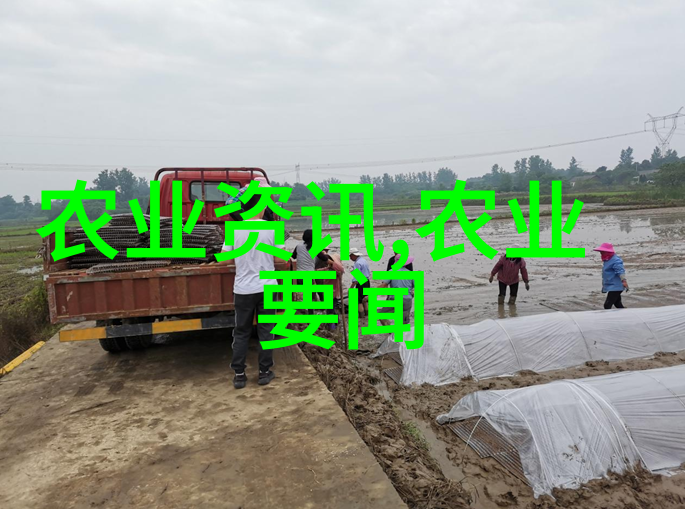 河南药材种植基地从田间到桌面自然之美一站到底