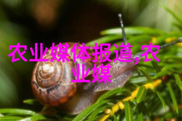 徒河黑猪探秘中国农村的奇特养殖现象