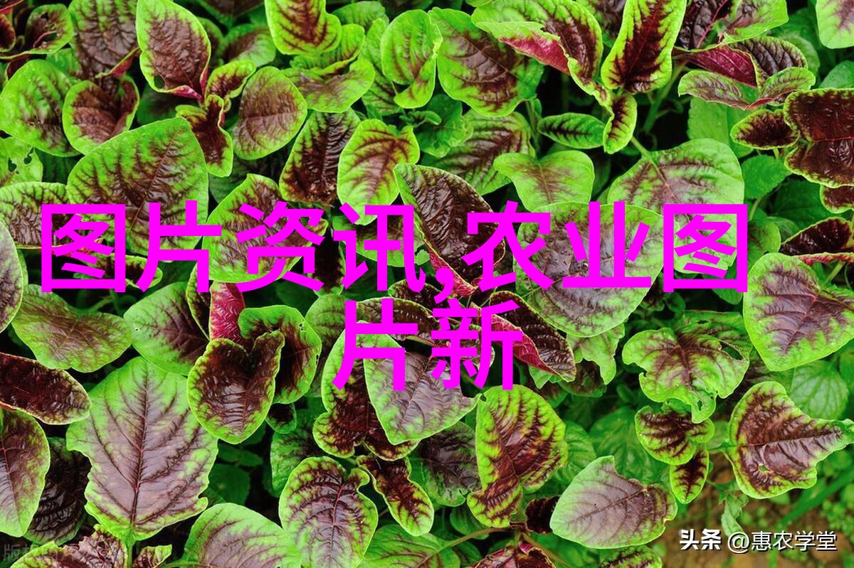 农机概念股未来农业技术的引领者