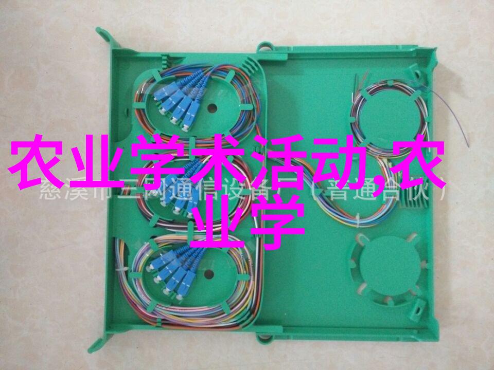 翠绿遗踪幽灵之城的离去