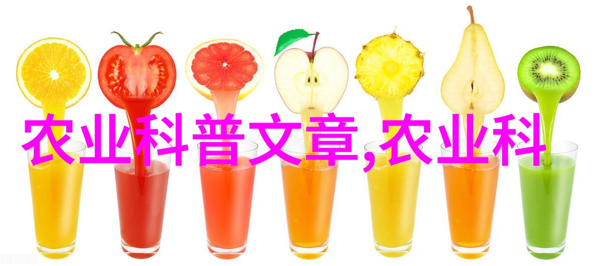 全国蔬菜批发市场价格表我是如何在网上找到最准确的蔬菜价格的
