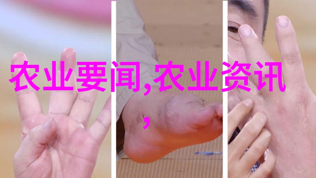 种植高效农业选择适宜气候的作物多样化农业适应性种植