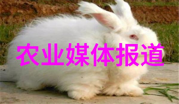 农业新闻2002_农业综合新闻_农业新闻2021