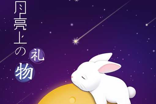 在实际操作中鄢陵花木网是如何与社区居民进行互动和合作的