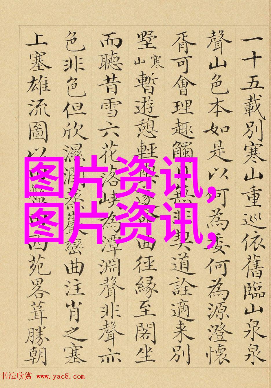 什么是绿色肥料如何使用它们来改善土壤质量