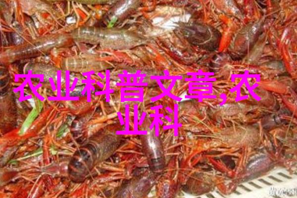 缅甸中文网今日报道金边路扩建工程将对城市交通带来深远影响