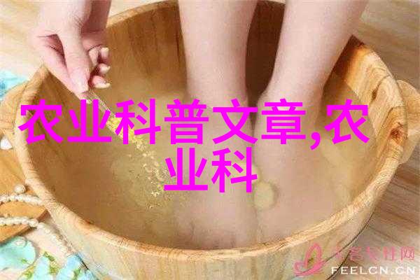 探究农村最佳作物种植策略基于生态平衡与经济效益的综合分析