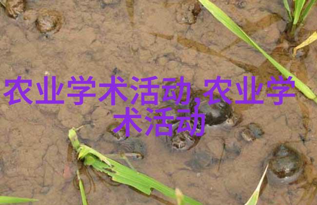 图像描述