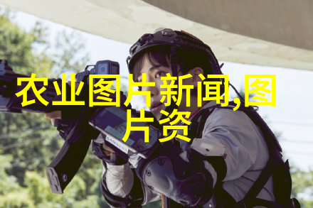 金钱树与市场花揭秘最赚钱又销路广的种植项目