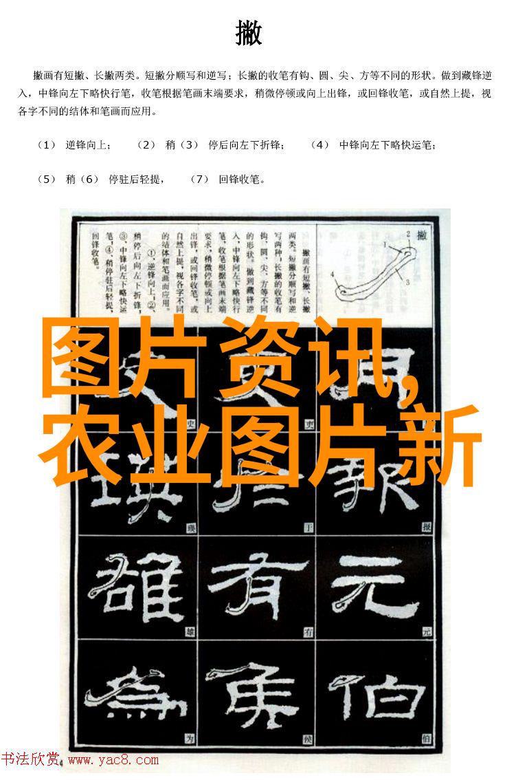 亲品家园共享未来探索家庭菜园经济的可行性