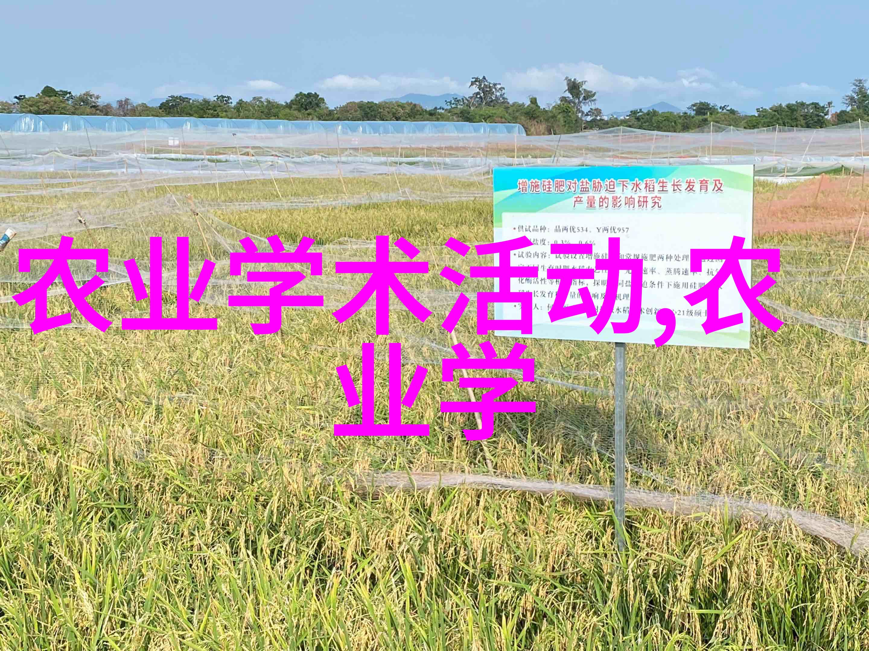亲民创新为贫困地区提供就业机会的18项方案