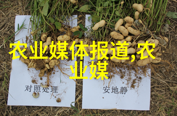 快穿攻略名配器叠加的小说我是系统的宿主吗这不就是我的剧本啊