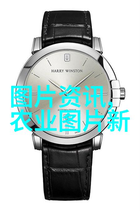 肉兔养殖技术我来教你怎么搞定家里的肉兔小铺