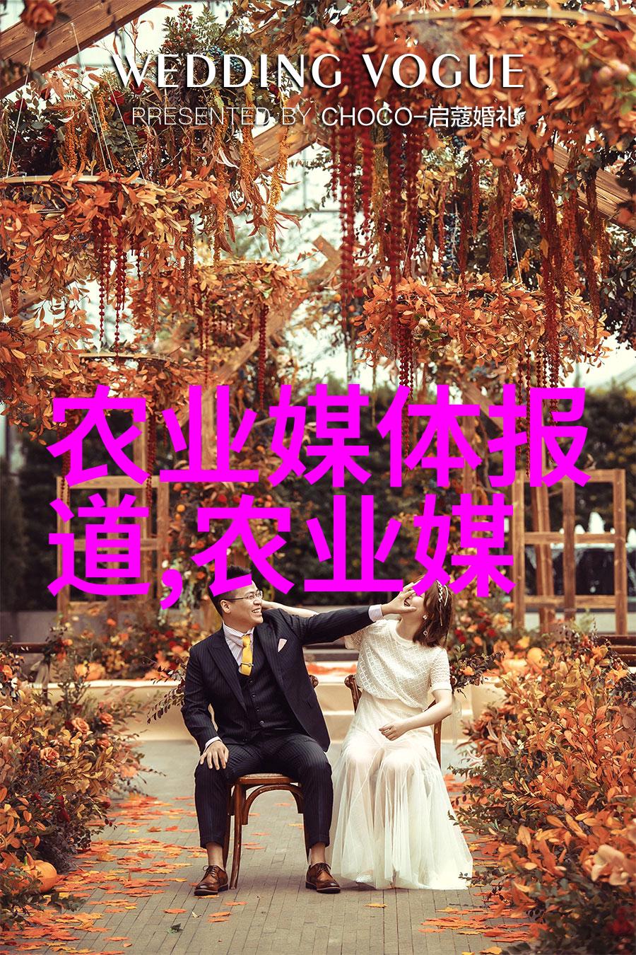 水泼天才揭秘水利水电技术的笑话与传奇