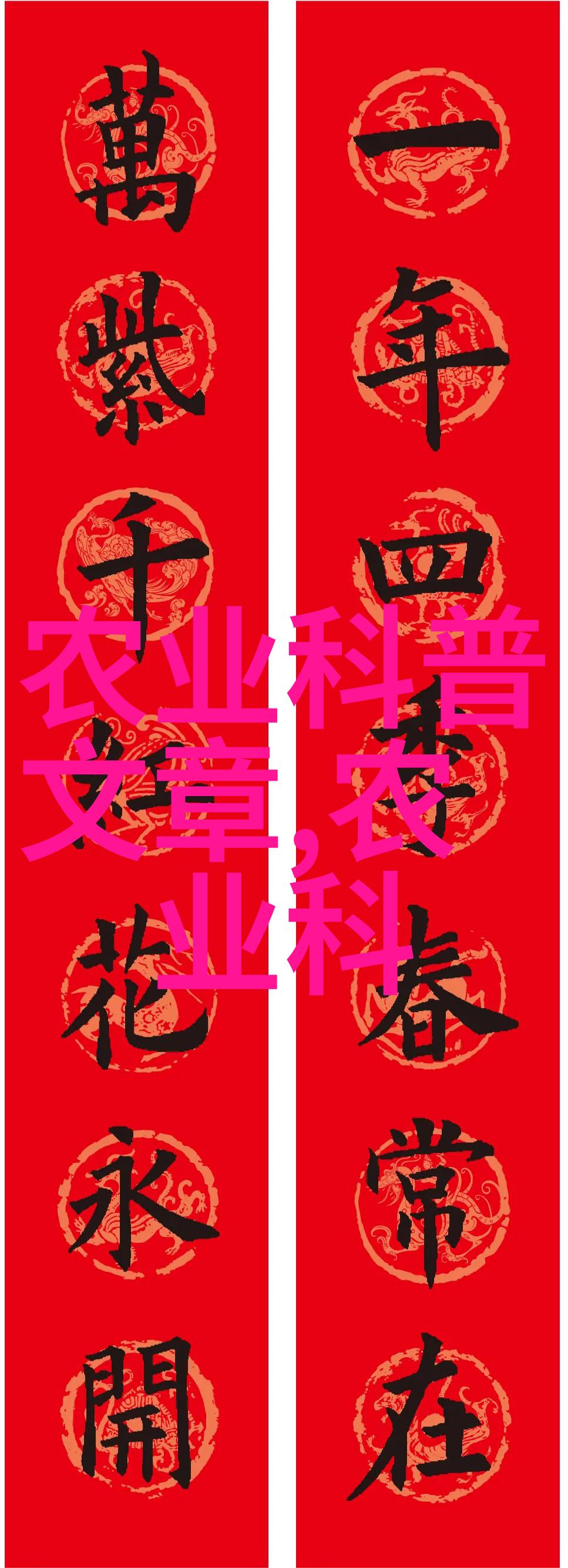 最美情侣免费播放视频下载-甜蜜时刻追踪最美情侣的浪漫视频之旅