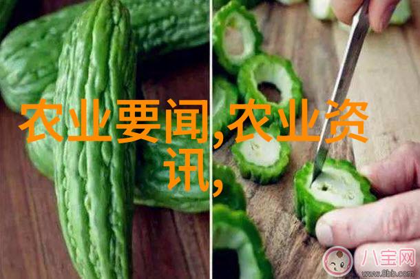 科技新贵揭秘哪个行业最酷炫的职业
