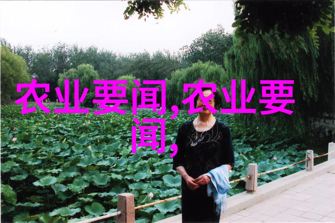 畜牧之美驴背下的悠然