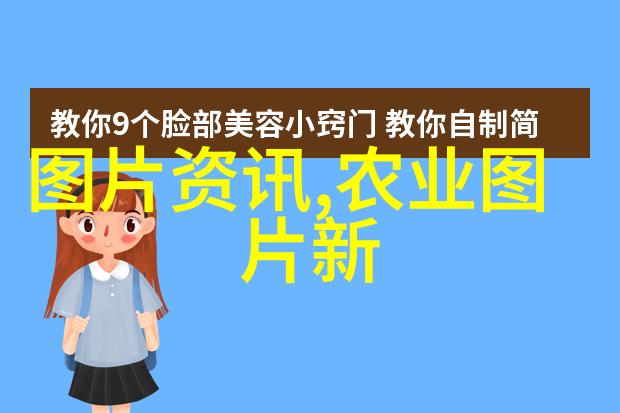 蜜蜂的智慧与我们共同的未来