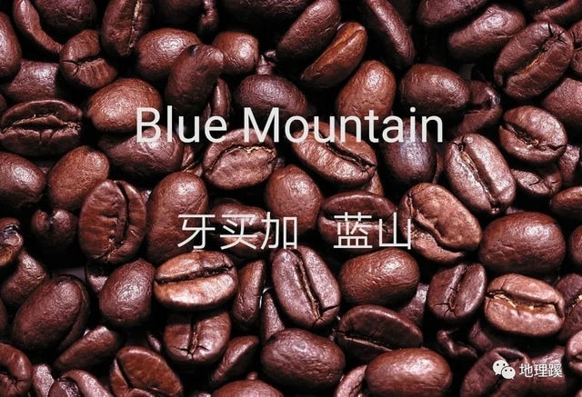 养殖场工作岗位全览从饲养员到兽医多样化职业等你来挑战