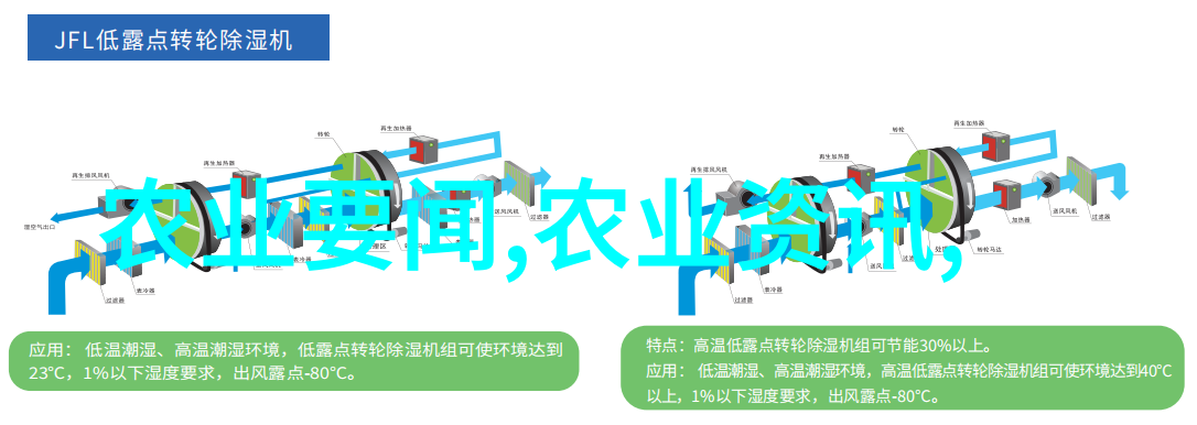选择金线莲苗时需注意的事项