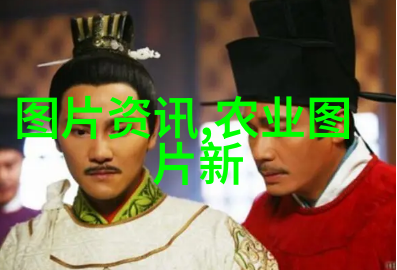 白菜根的秘密一探其在中医药中的独特价值