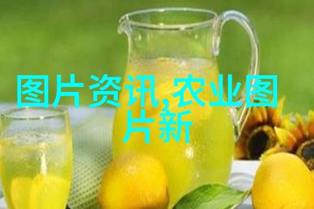 智能化与可持续性现代农业种植技术的新篇章
