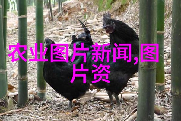 我怎样才能得到关于当地企业今日招募人员需求的实时更新