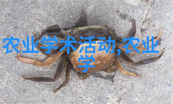 花园之美鲜花价格对照表