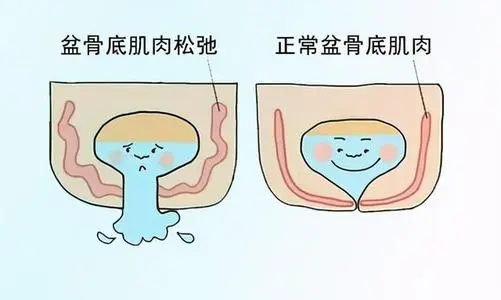 茶叶的传承与变迁从古代到现代的历史探索