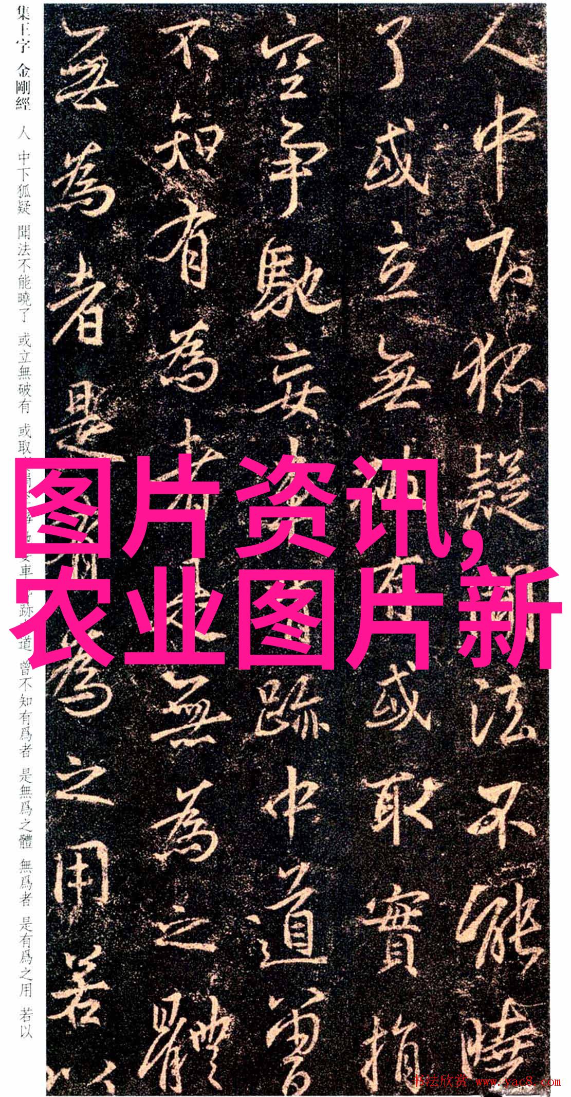 中医药学-百草图鉴探索100种传统中药的秘密