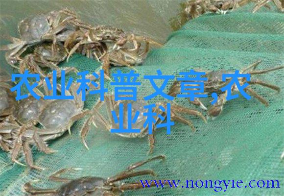超越季节大棚年四时植物养护秘籍分享会