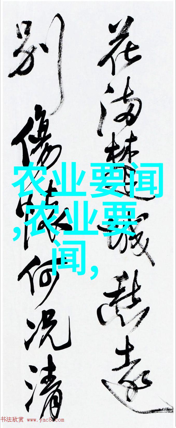 农业机械-双防耕机水旱两用耕田机的革命性应用