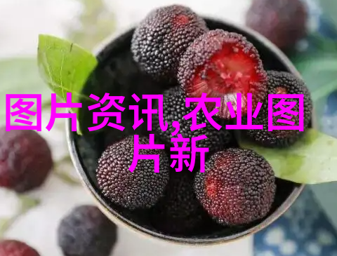10公分法桐最新价格-精确测量的新标准探索10公分法桐市场动态