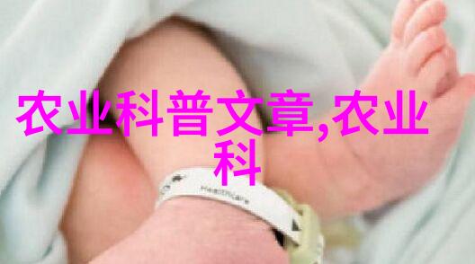 丰收之舞猪价图谱