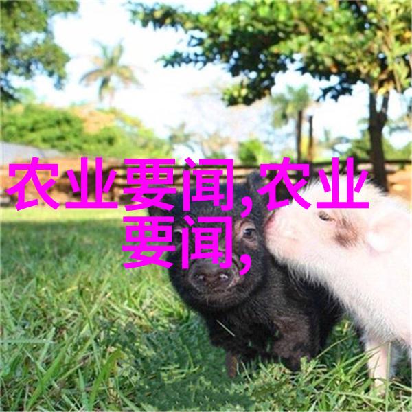 农产品行情网洞察市场变化助力农业产业升级