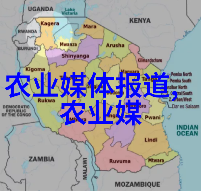 经济效益与可持续发展奶制品生产中高效饲喂方案是什么样的