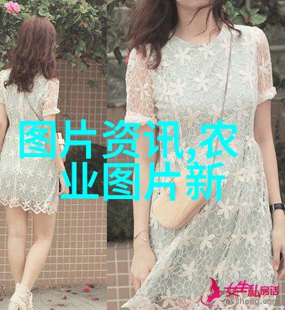 紫山药传统医学中的奇珍与治疗之光