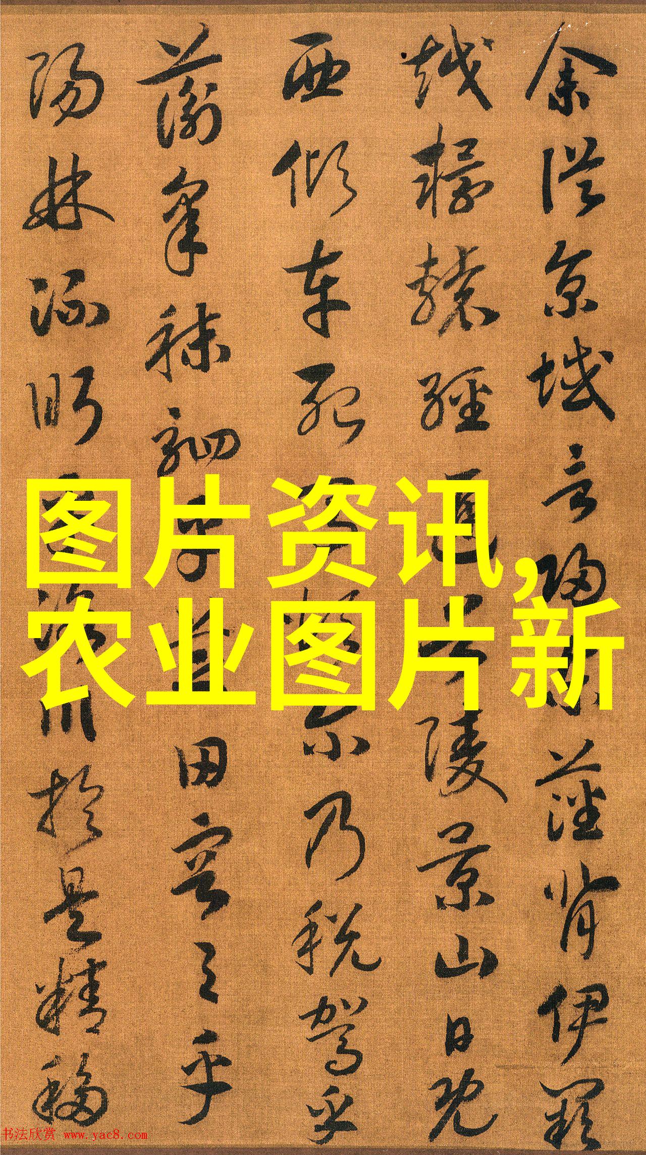 中国三农报道聚焦第三次全国国土调查 减地不减粮 三大优势确保粮食连年丰产
