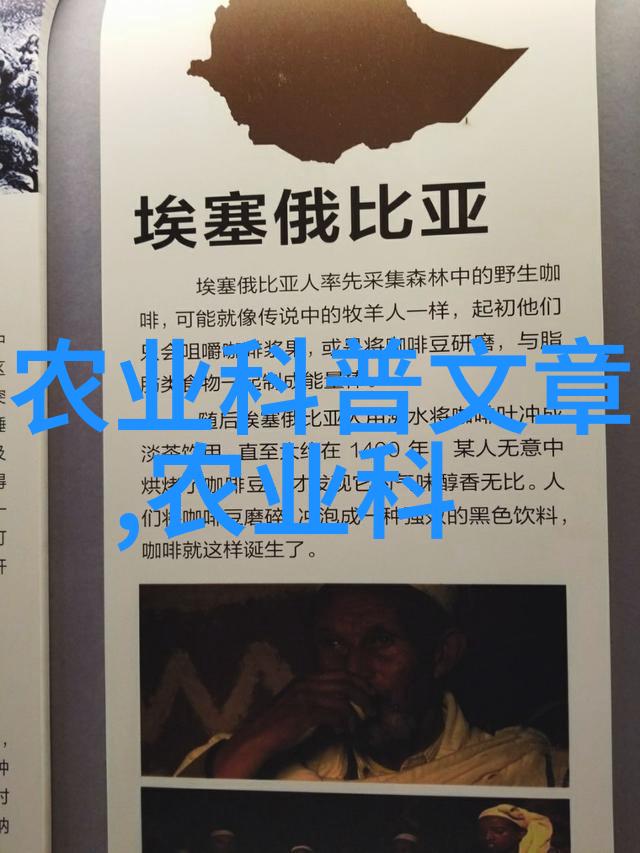 在社会的农业致富项目中甘蔗正确的施肥方法至关重要