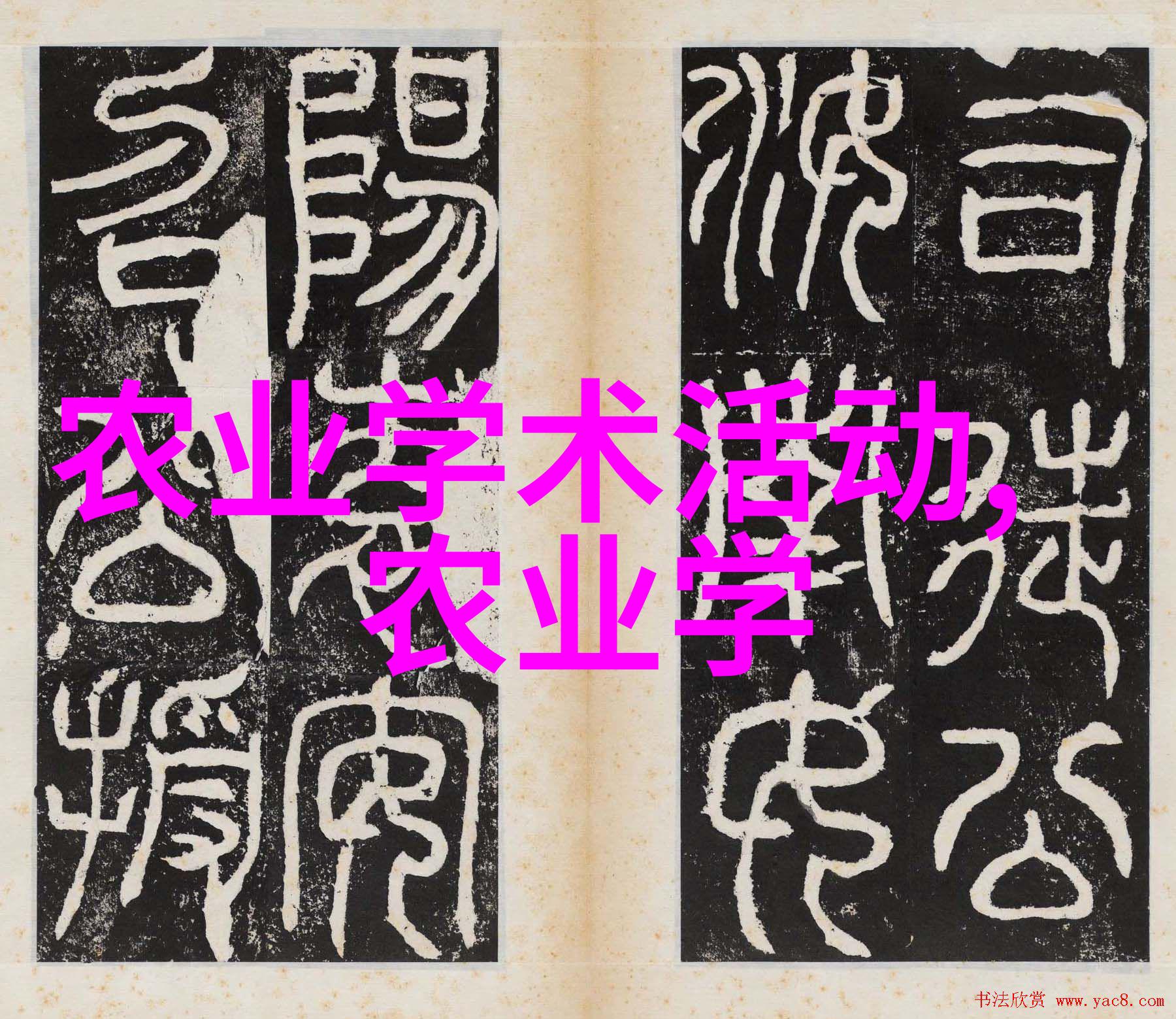 从种子到绽放云南十大花卉基地是如何培育出那样的奇观