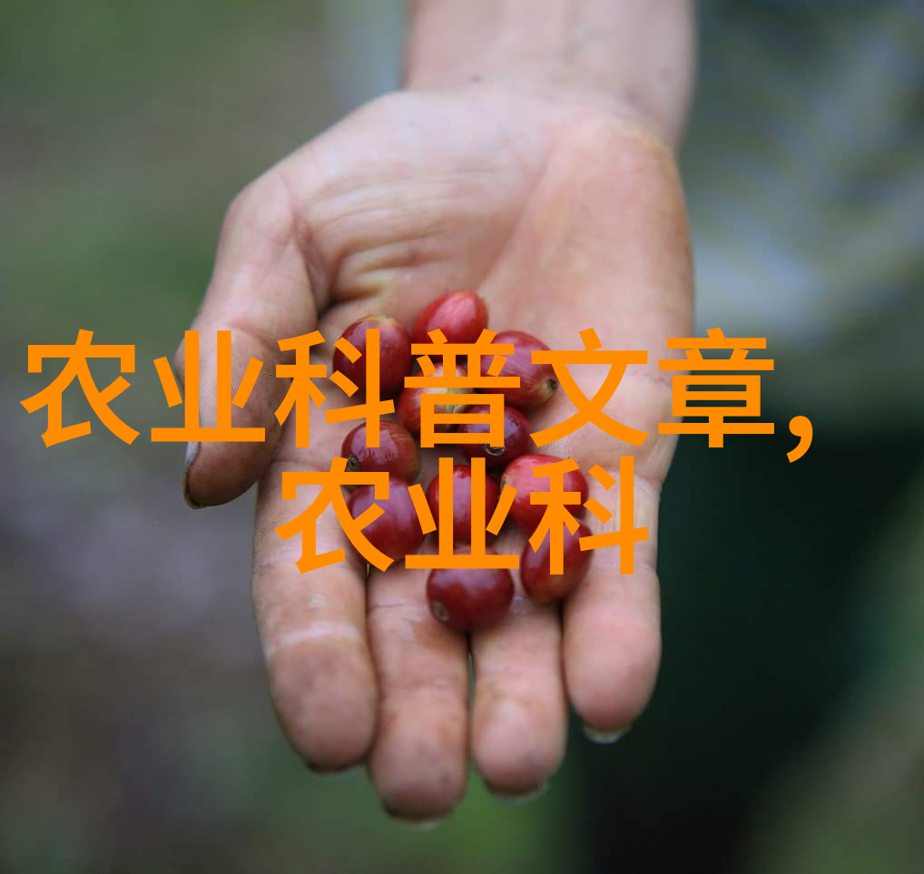 专家提醒卧室内不宜摆放植物的原因与建议