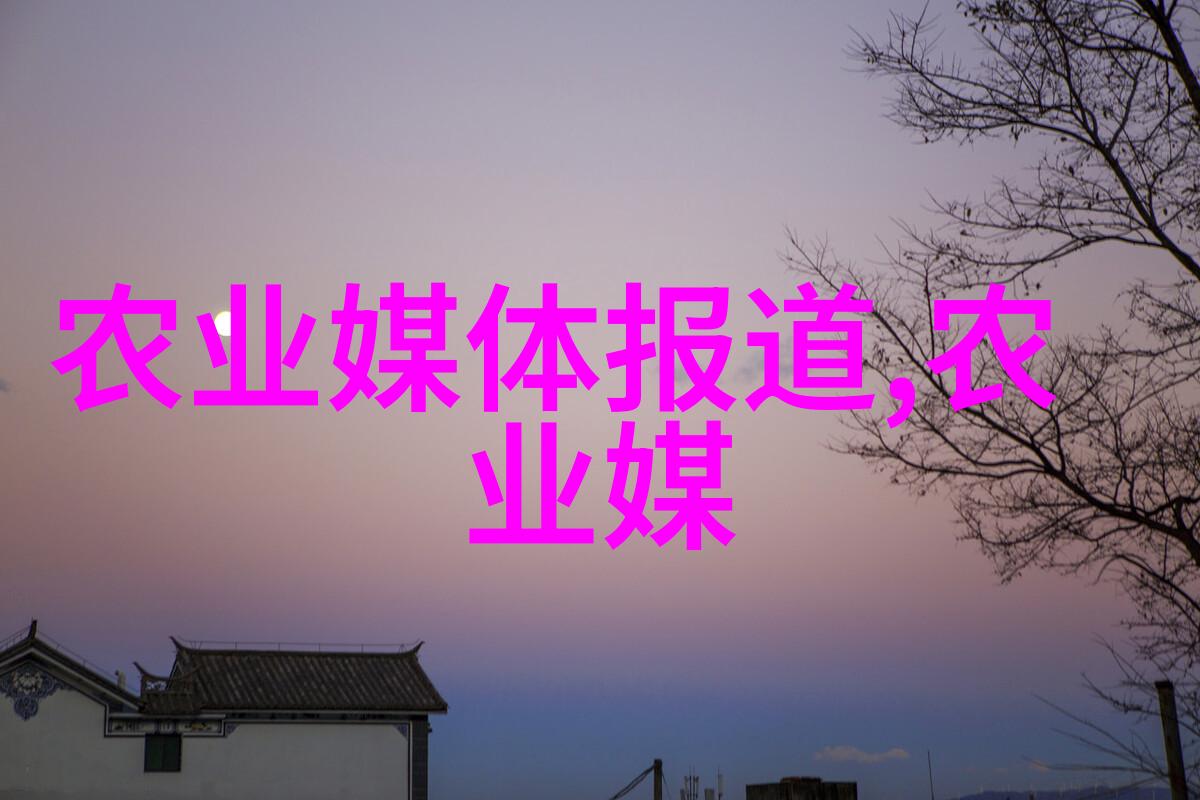 机械守望者码垛机的无声守护