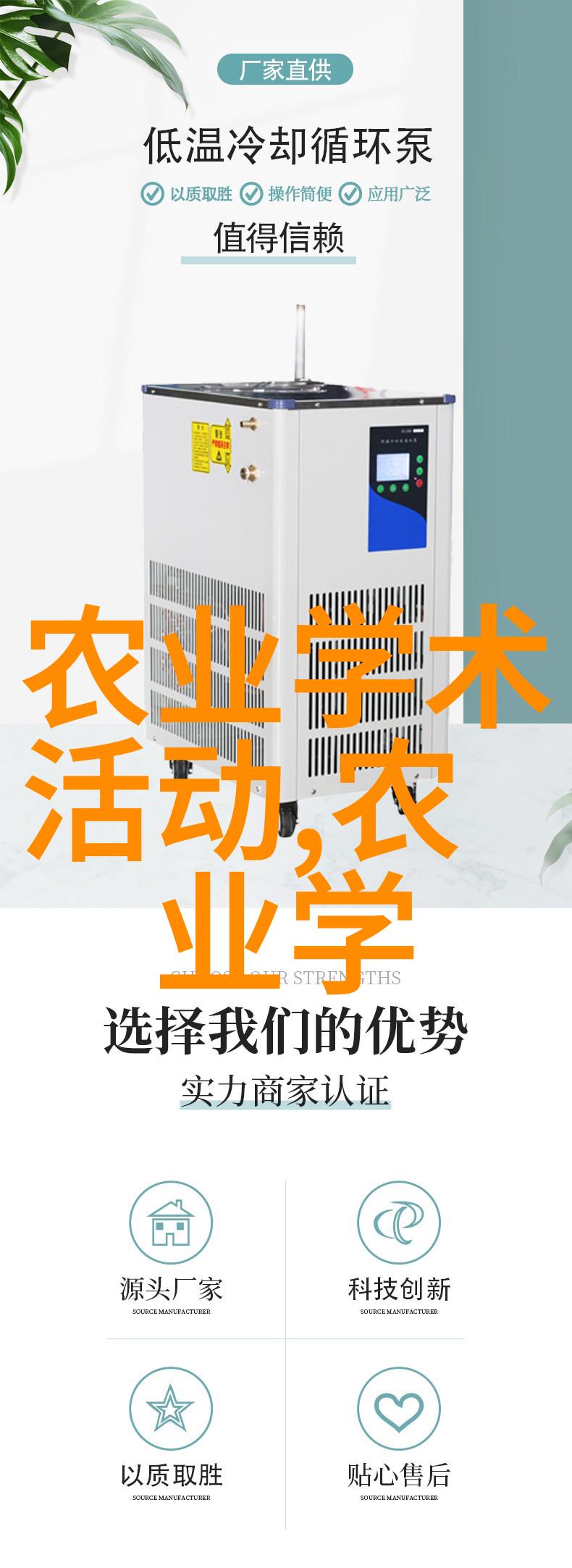 久违的重逢迈开腿共赏视频之旅